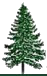 Martinez Landscaping Pine Tree logo